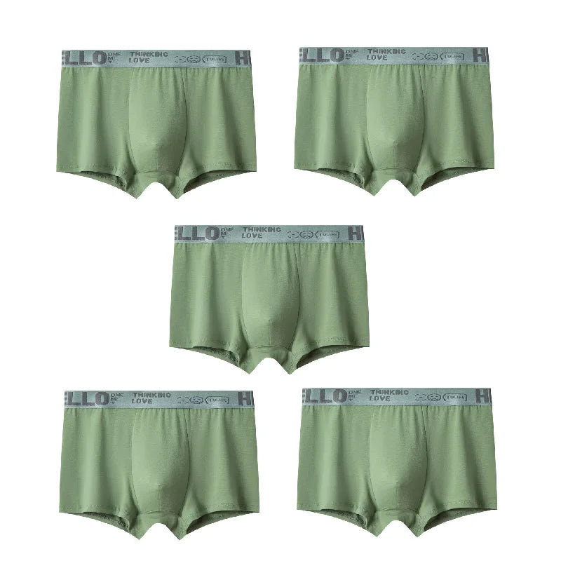 Men's Quick-Dry Stretch Boxer Trunks - Breathable Multi-Pack